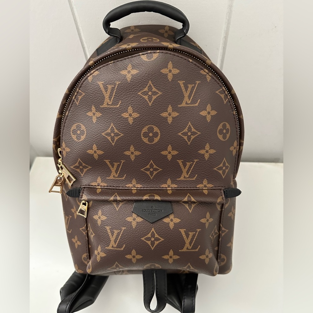 Louis Vuitton Palm Springs PM backpack